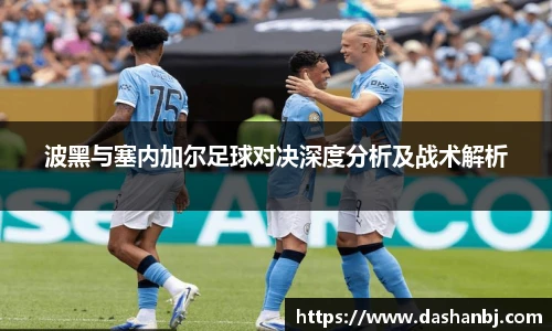 波黑与塞内加尔足球对决深度分析及战术解析