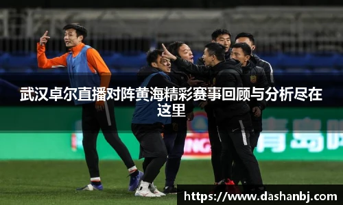 武汉卓尔直播对阵黄海精彩赛事回顾与分析尽在这里